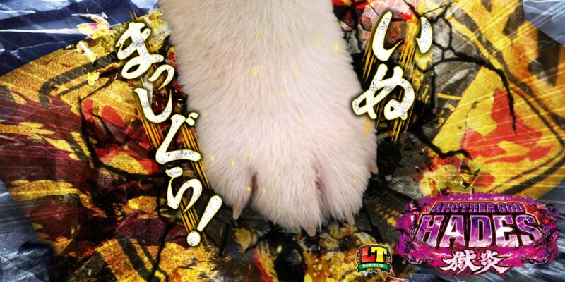 Pアナザーゴッドハーデス-獄炎- 釘読み 止め打ち ボーダーライン 機種解説